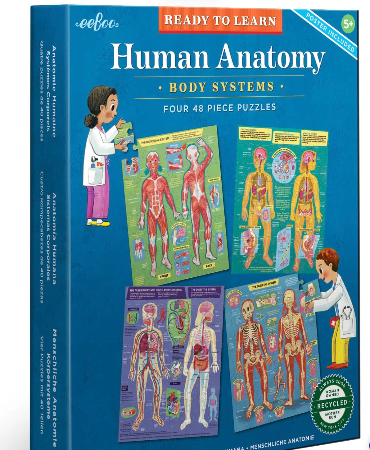 Human Anatomy Body System Puzzle