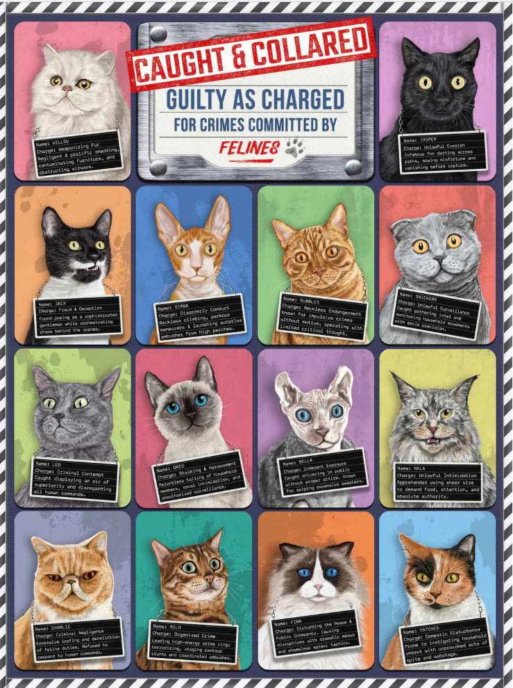 Caught and Collared Felines Puzzle