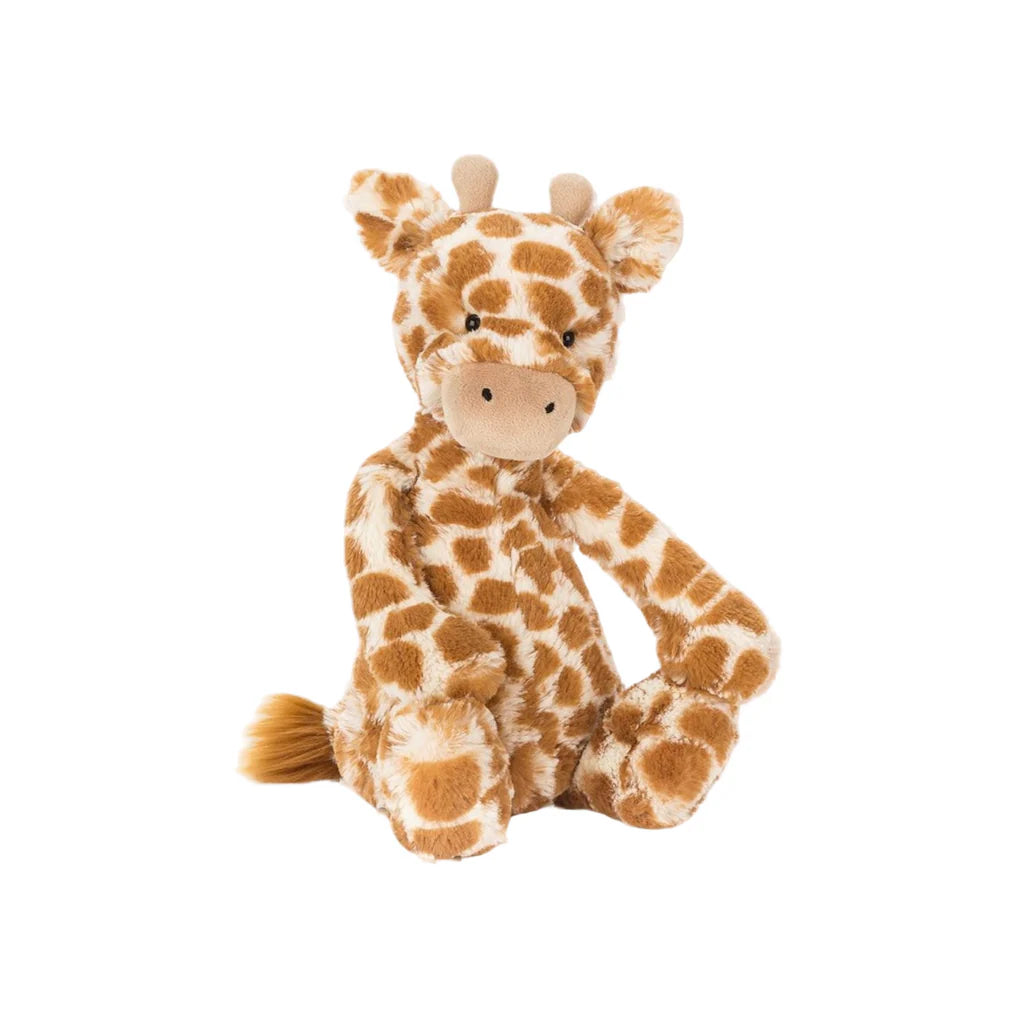 Medium Bashful Giraffe