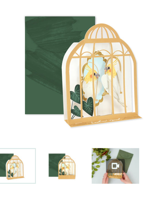 Pop up card birdcage