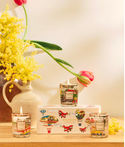 Baobab Trio de Voyage