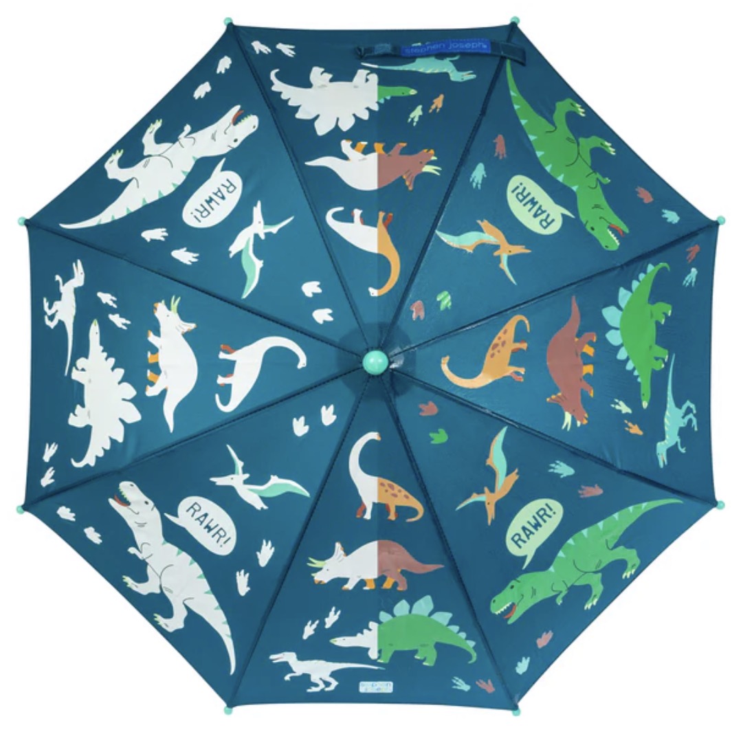 Color Changing Umbrella