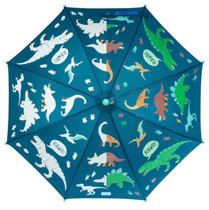 Color Changing Umbrella