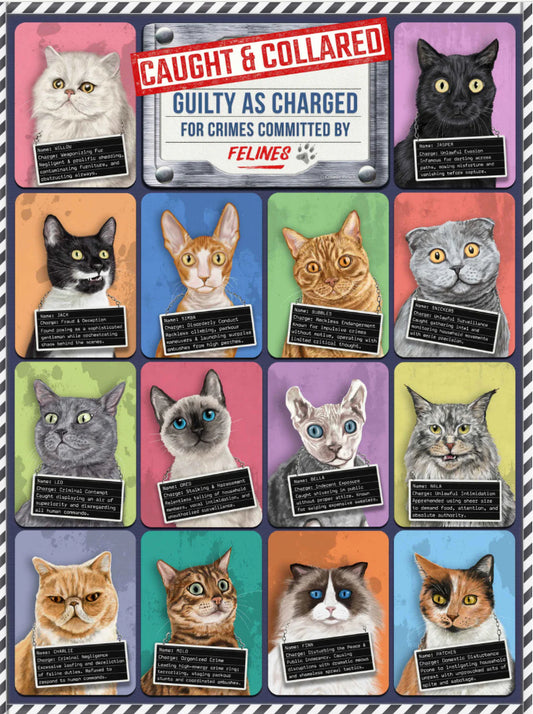 Caught and Collared Felines Puzzle