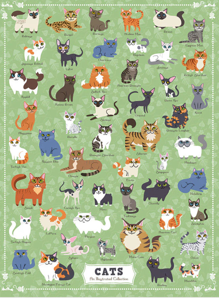 Cat Puzzle