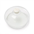 Nashi Home Cake Dome