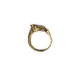Horse With A Hoof Ring