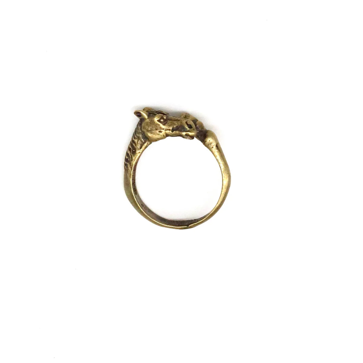 Horse With A Hoof Ring