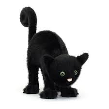 Spookiepaws Cat